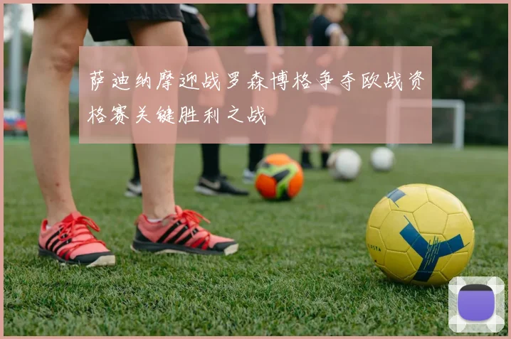 萨迪纳摩迎战罗森博格争夺欧战资格赛关键胜利之战
