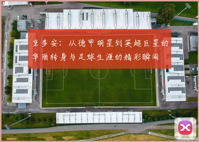 京多安：从德甲明星到英超巨星的华丽转身与足球生涯的精彩瞬间