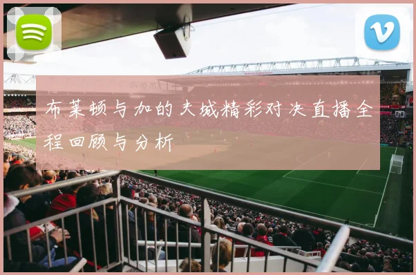 布莱顿与加的夫城精彩对决直播全程回顾与分析