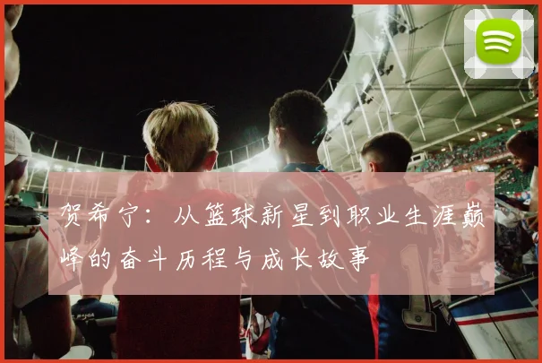 贺希宁：从篮球新星到职业生涯巅峰的奋斗历程与成长故事