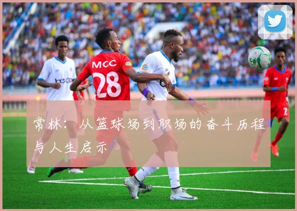 常林：从篮球场到职场的奋斗历程与人生启示
