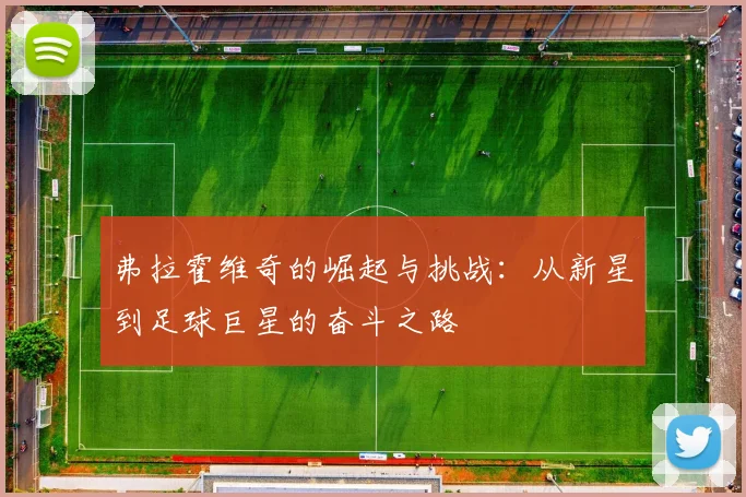 弗拉霍维奇的崛起与挑战：从新星到足球巨星的奋斗之路